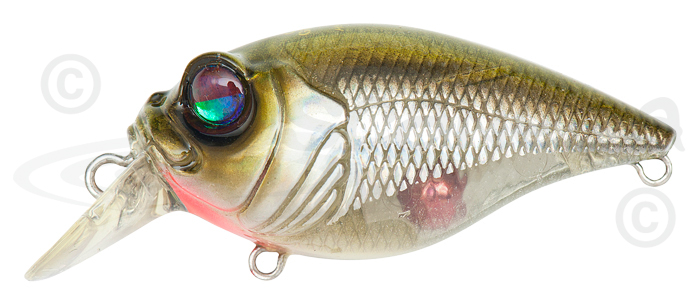 Воблеры Megabass - GRIFFON SR-X: описание, цена, оптовые продажи